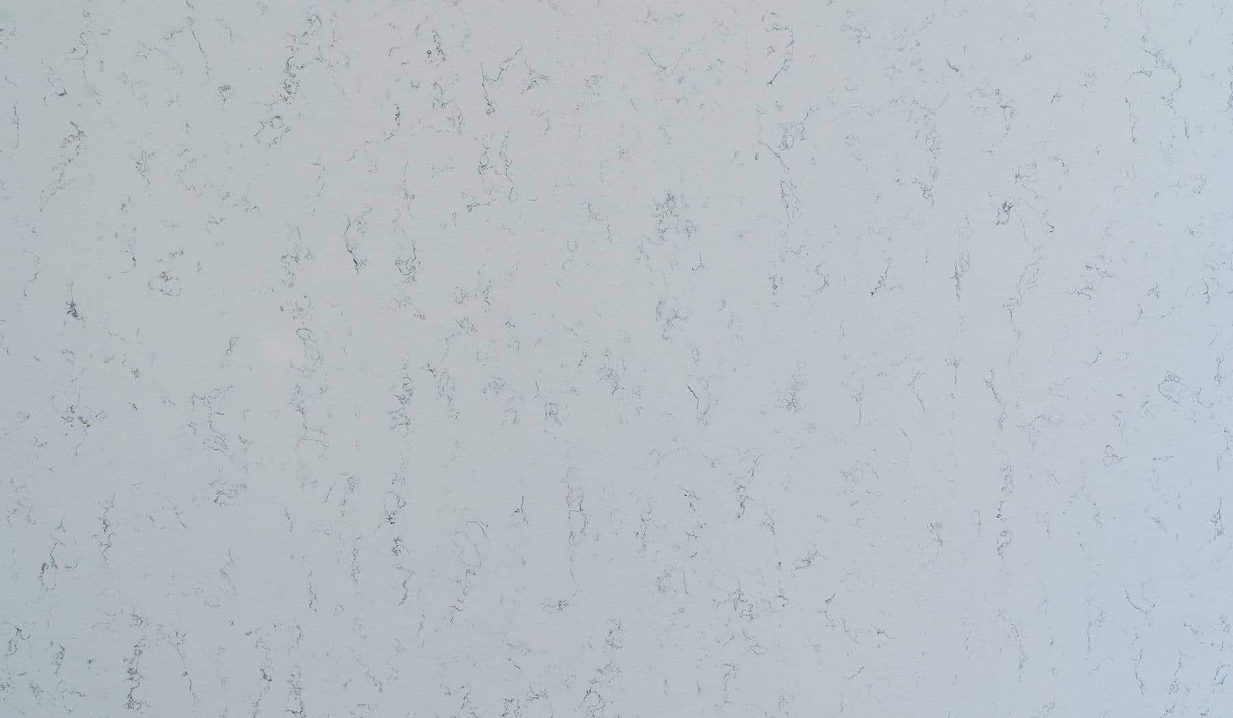 TM Bianco Carrara